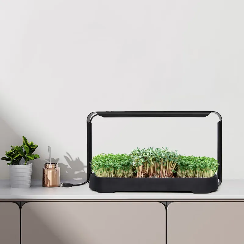 Self-Watering Planter - 마이크로그린 자동 급수 수경재배 시스템(재배등 포함)