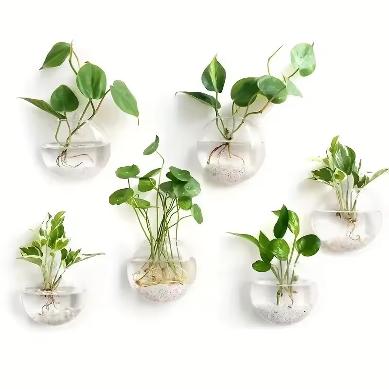 Self-Watering Planter - 2/4/6팩 벽걸이 유리 테라리움 - 가정