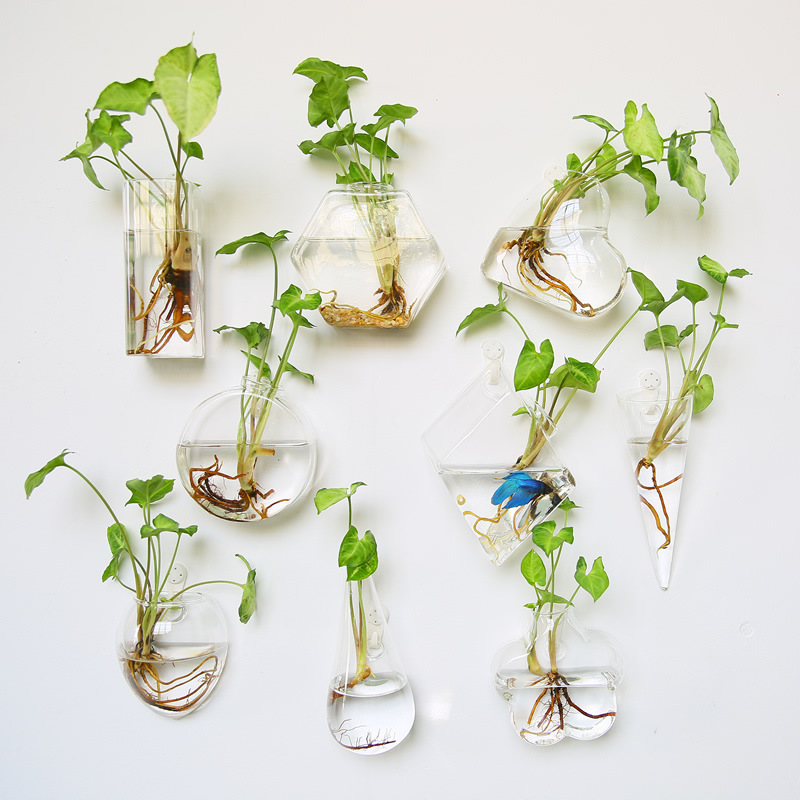 Self-Watering Planter - 벽걸이 유리 테라리움 - 가정 및