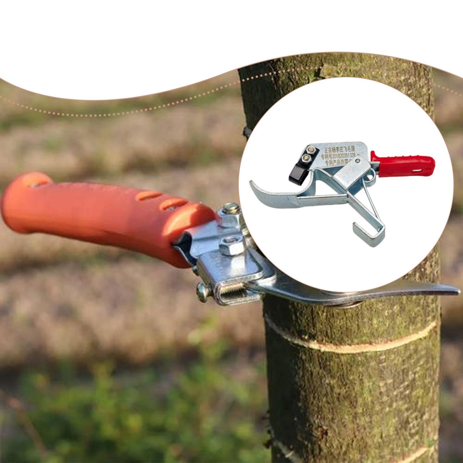 과일나무 감싸기 도구, 필수적이고 실용적이며 효율적이며 - Gardening Tools Essential 리뷰 및 가격