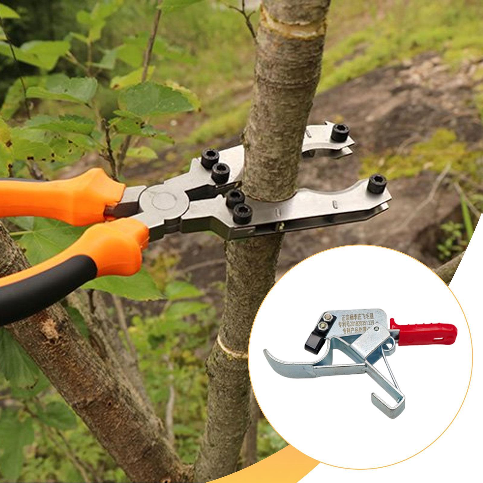 과일나무 감싸기 도구, 필수적이고 실용적이며 효율적이며 - Gardening Tools Essential 리뷰 및 가격