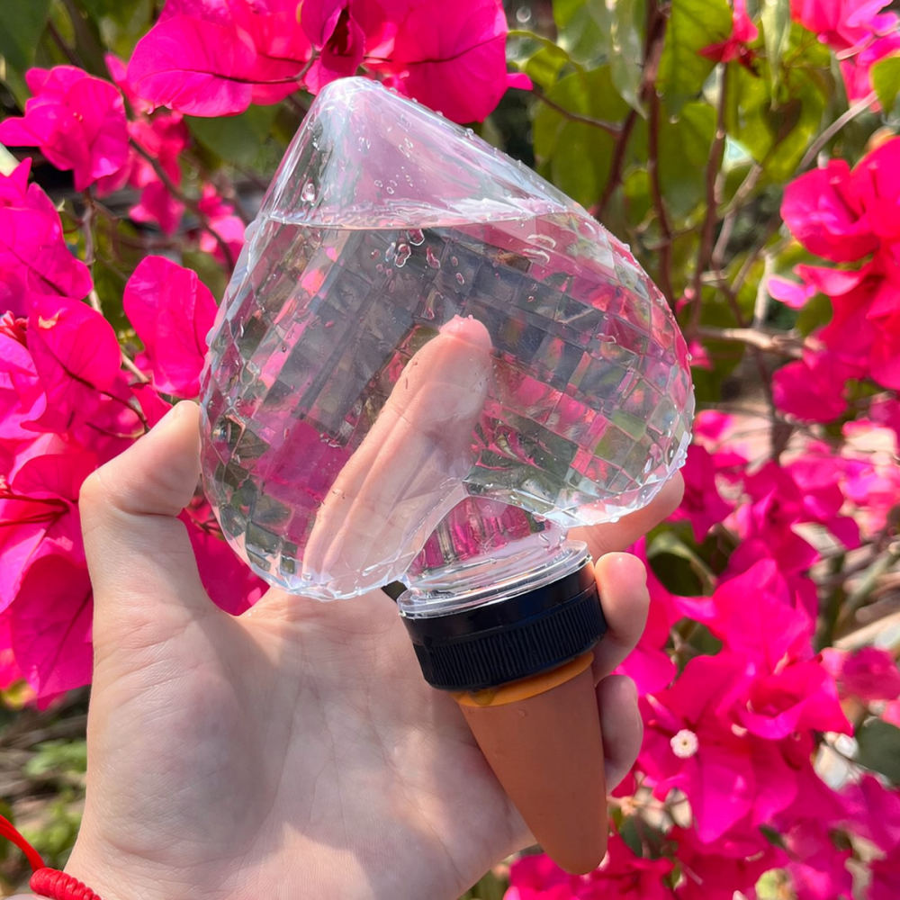 하트 모양 자동 급수 장치, 스포트라이트 패턴 점적 관 - Automatic Plant Waterer 리뷰 및 가격