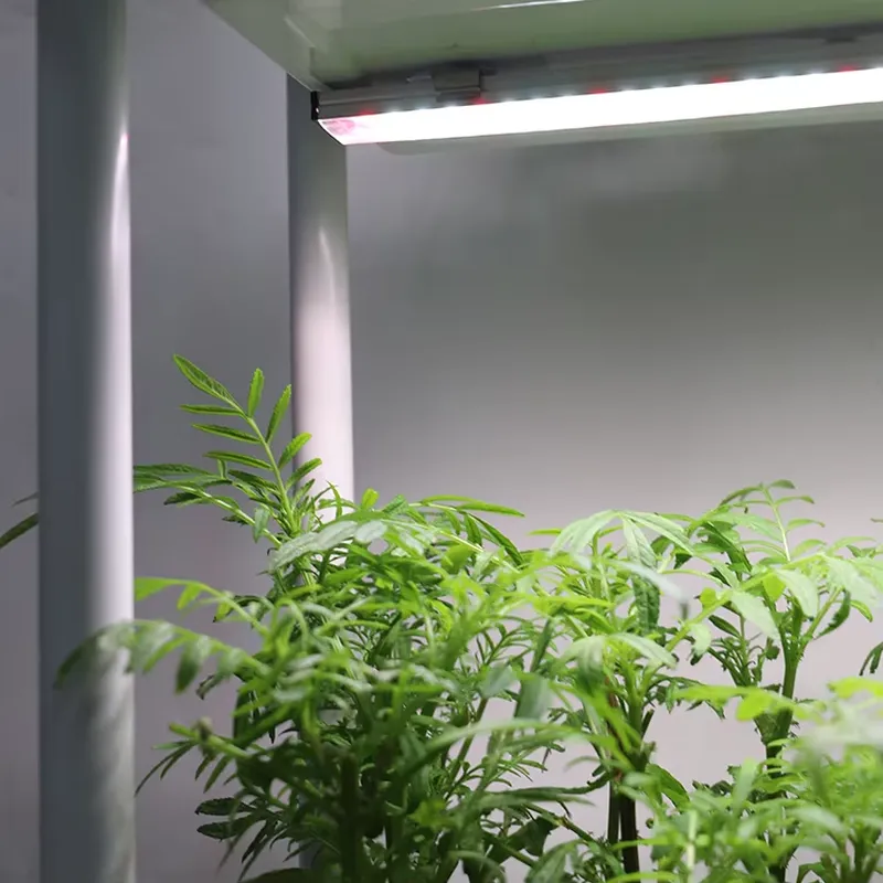 이동식 수직형 3단 자동 급수 스마트 정원 화분 스탠드 - Self-Watering Planter 리뷰 및 가격