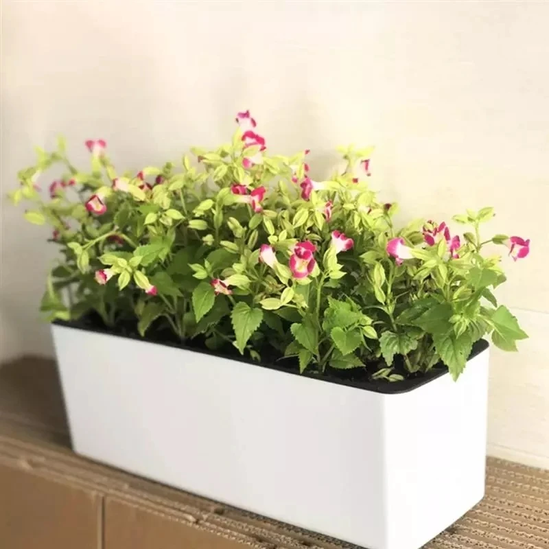 직사각형 게으른 꽃 냄비 화분 수경 플라스틱 꽃 냄비  - Automatic Plant Waterer 리뷰 및 가격