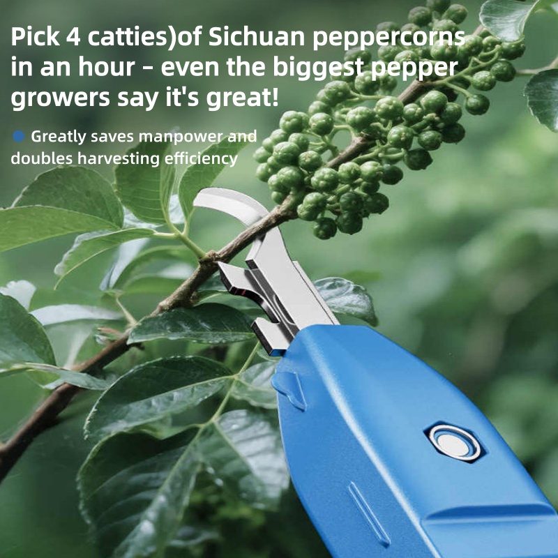 다기능 수확기, 고추 따기, 휴대용 과일 및 채소 수확 - Gardening Tools Vegetables 리뷰 및 가격