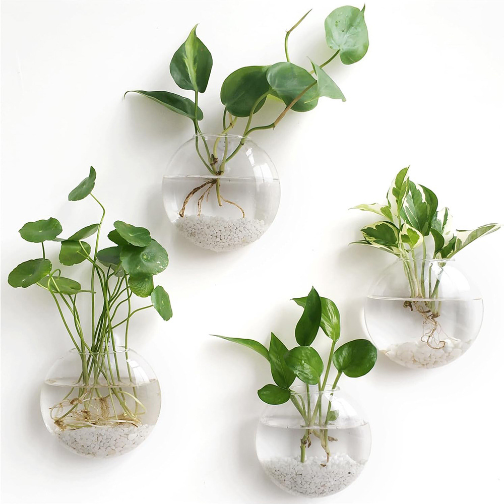 2/4/6팩 벽걸이 유리 테라리움 - 가정 및 사무실  - Self-Watering Planter 리뷰 및 가격