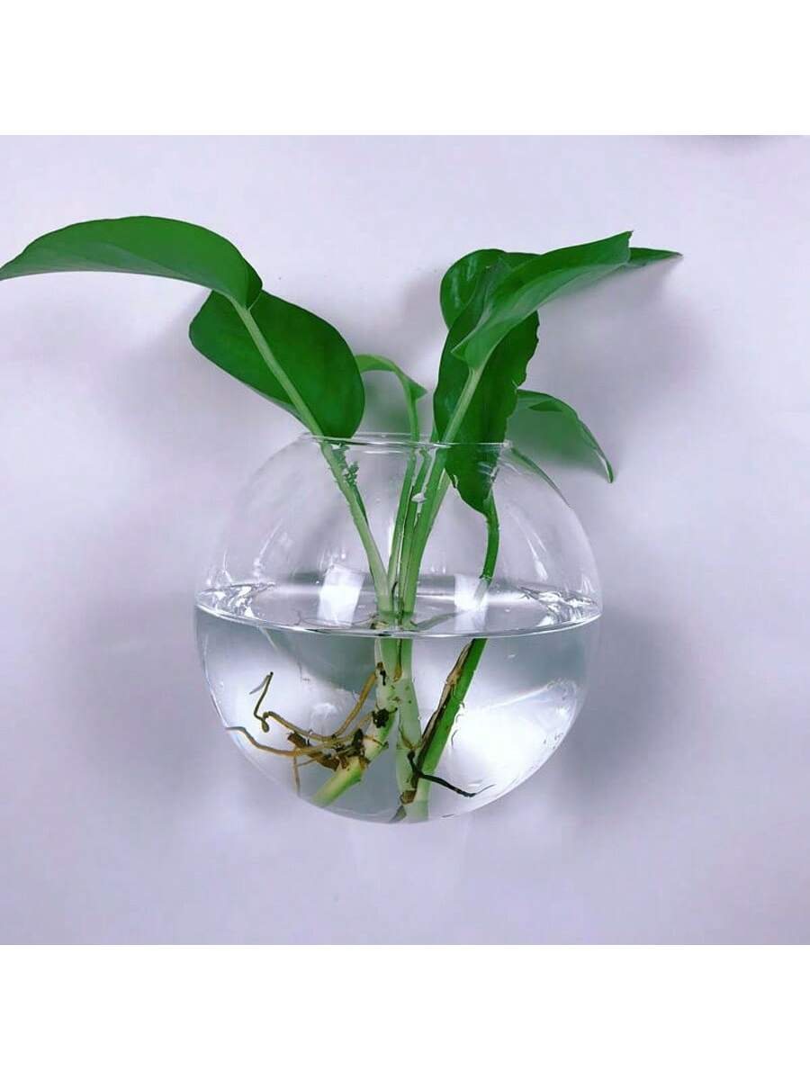 2/4/6팩 벽걸이 유리 테라리움 - 가정 및 사무실  - Self-Watering Planter 리뷰 및 가격