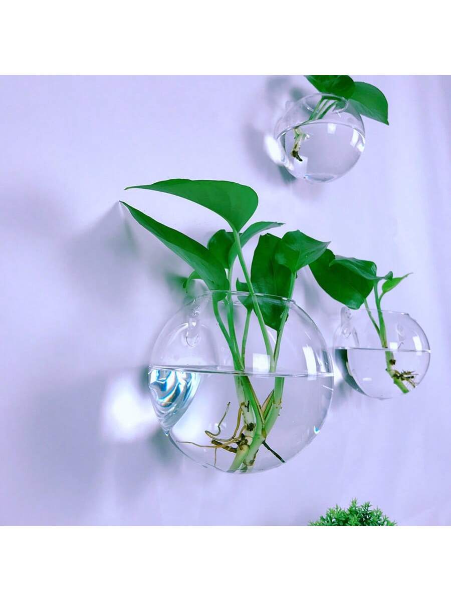 2/4/6팩 벽걸이 유리 테라리움 - 가정 및 사무실  - Self-Watering Planter 리뷰 및 가격