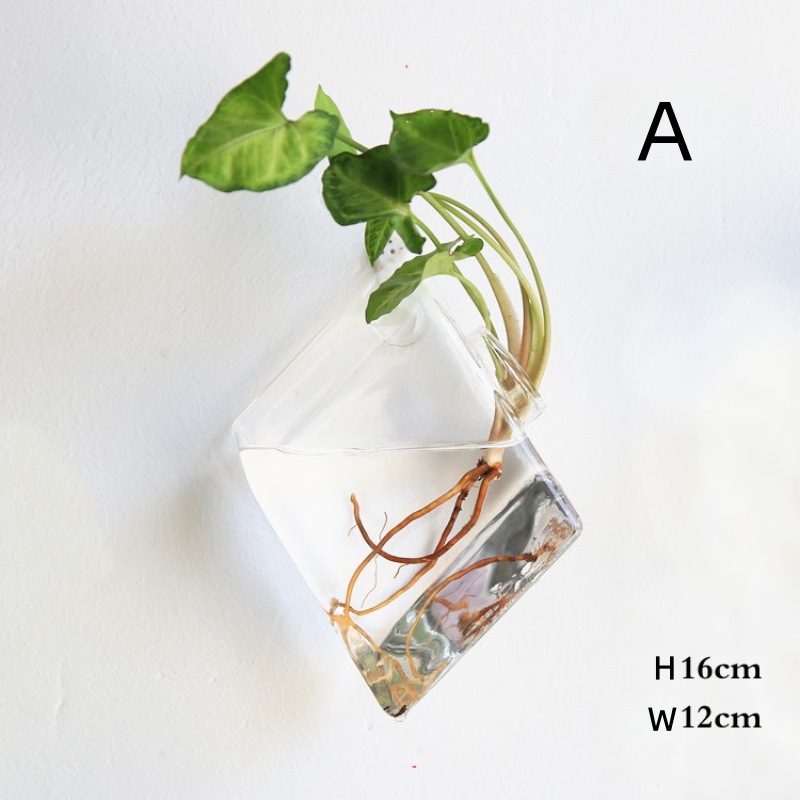벽걸이 유리 테라리움 - 가정 및 사무실 장식용 자동  - Self-Watering Planter 리뷰 및 가격
