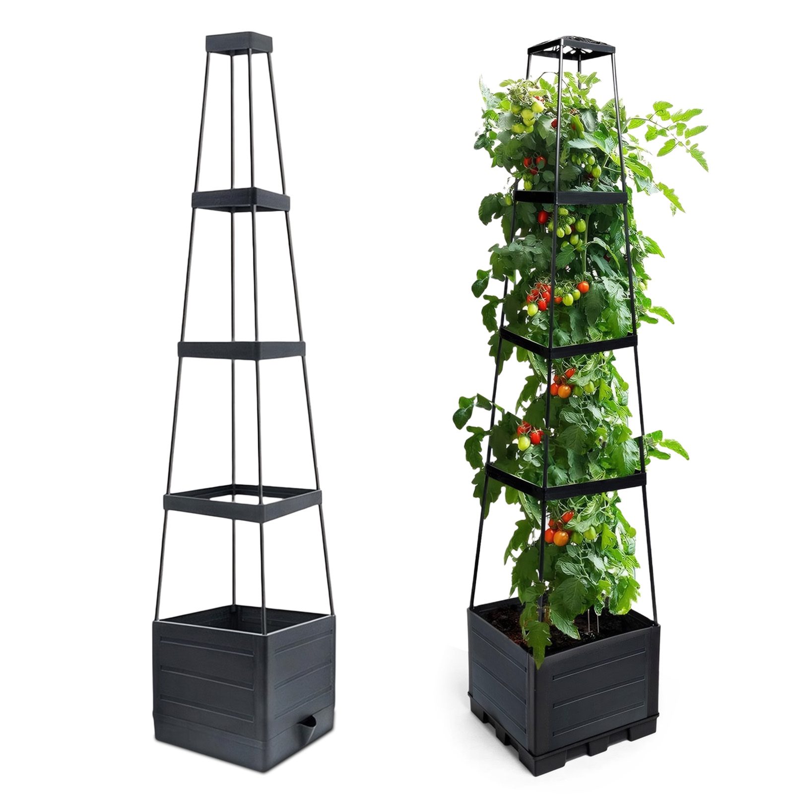 높이가 있는 정원용 화분, 트렐리스가 있는 토마토 케이 - Self-Watering Planter 리뷰 및 가격