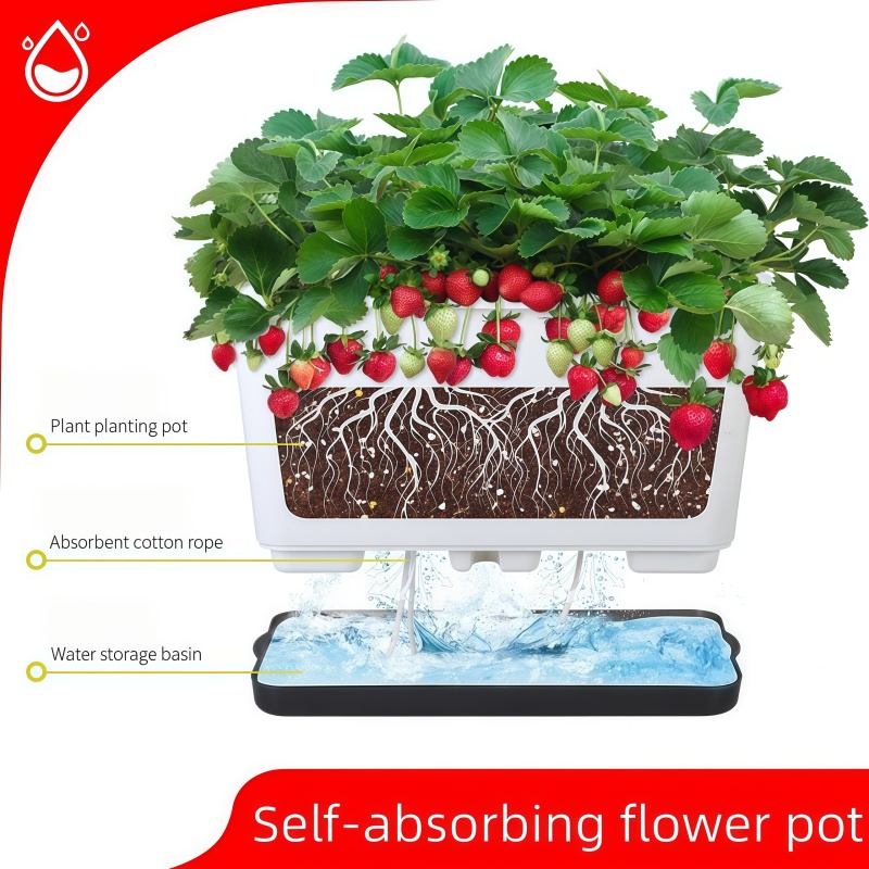 폭이 넓은 자동 급수 기능이 있는 플라스틱 직사각형 화 - Self-Watering Planter 리뷰 및 가격